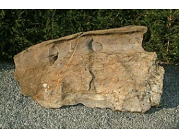 Gestaltungsstein,Solitärfindlinge für Gärten - Findling 287