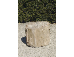 Versteinertes Holz,Gestaltungsstein - Findling 687