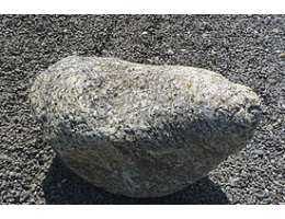 Solitärfindlinge für Gärten,Gestaltungsstein,Solitärfindlinge für Gärten - Findling 890