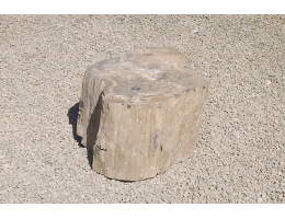 Versteinertes Holz,Gestaltungsstein - Findling 689