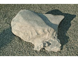 Gestaltungsstein,Solitärfindlinge für Gärten - Findling 281