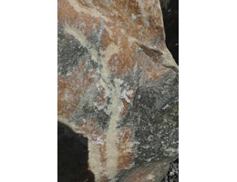 Gestaltungsstein,Solitärfindlinge für Gärten - Findling 970