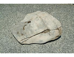 Gestaltungsstein,Solitärfindlinge für Gärten - Findling 223