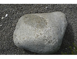 Solitärfindlinge für Gärten,Gestaltungsstein,Solitärfindlinge für Gärten - Findling 913