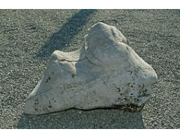 Solitärfindlinge für Gärten,Gestaltungsstein - Findling 251