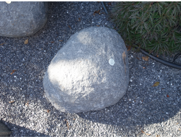 Solitärfindlinge für Gärten - Findling 1219