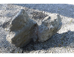 Solitärfindlinge für Gärten,Raritäten - Findling 764