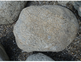 Gestaltungsstein,Solitärfindlinge für Gärten - Findling 1242