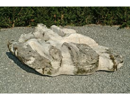 Gestaltungsstein,Showstone,Solitärfindlinge für Gärten,Wasserfindling - Findling 274