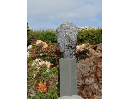 Steingesicht - Findling 1097