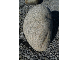 Solitärfindlinge für Gärten,Gestaltungsstein,Solitärfindlinge für Gärten - Findling 853