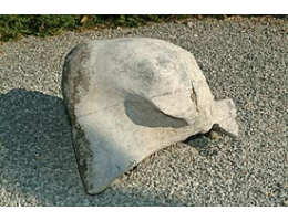 Gestaltungsstein,Solitärfindlinge für Gärten - Findling 281