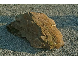 Gestaltungsstein,Solitärfindlinge für Gärten - Findling 287