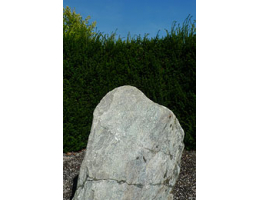 Solitärfindlinge für Gärten,Gestaltungsstein,Solitärfindlinge für Gärten - Findling 833