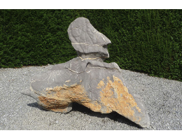 Showstone,Steintier,Steingesicht - Findling 949
