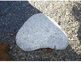 Raritäten - Findling 1272