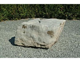 Gestaltungsstein,Solitärfindlinge für Gärten - Findling 229
