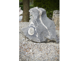 Kunstform,Kunst am Stein,Raritäten,Skulpturen aus Stein - Findling 746