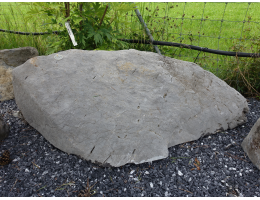 Gestaltungsstein,Solitärfindlinge für Gärten - Findling 1253