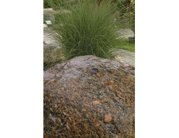 Wasserfindling - Findling 395