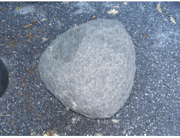 Solitärfindlinge für Gärten - Findling 1211