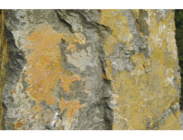 Solitärfindlinge für Gärten - Findling 670