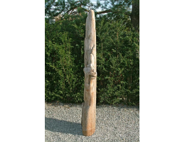 Schwemmholz - Findling 331