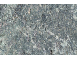 Gestaltungsstein,Solitärfindlinge für Gärten - Findling 832