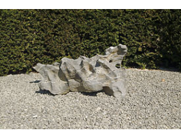 Solitärfindlinge für Gärten,Gestaltungsstein - Findling 651