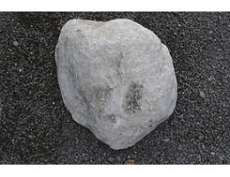 Solitärfindlinge für Gärten,Gestaltungsstein,Solitärfindlinge für Gärten - Findling 902