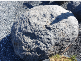 Solitärfindlinge für Gärten - Findling 1216