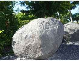 Solitärfindlinge für Gärten - Findling 1207