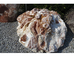 Solitärfindlinge für Gärten,Gestaltungsstein,Solitärfindlinge für Gärten - Findling 927