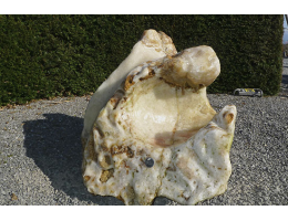 Solitärfindlinge für Gärten,Showstone,Fabelstein - Findling 880