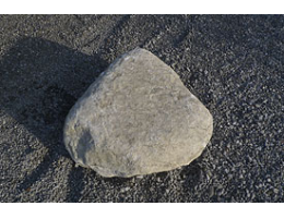 Solitärfindlinge für Gärten,Gestaltungsstein,Solitärfindlinge für Gärten - Findling 887