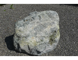 Solitärfindlinge für Gärten,Gestaltungsstein,Solitärfindlinge für Gärten - Findling 896