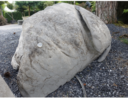 Gestaltungsstein,Solitärfindlinge für Gärten - Findling 1249