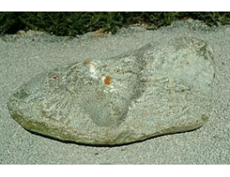 Solitärfindlinge für Gärten,Quellstein - Findling 94