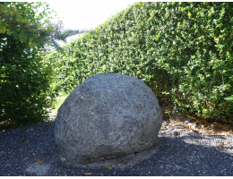 Solitärfindlinge für Gärten - Findling 1206