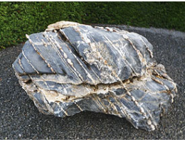 Solitärfindlinge für Gärten,Showstone,Raritäten,Wasserfindling - Findling 788