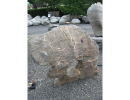 Gestaltungsstein,Showstone,Wasserfindling - Findling 453