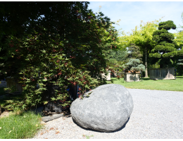 Solitärfindlinge für Gärten - Findling 1214