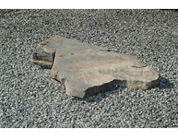 Gestaltungsstein,Solitärfindlinge für Gärten - Findling 178
