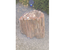 Versteinertes Holz,Gestaltungsstein - Findling 706