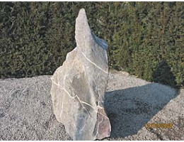 Gestaltungsstein,Hinkelstein,Solitärfindlinge für Gärten - Findling 486