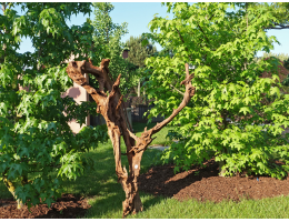 Holzskulpturen - Findling 1045