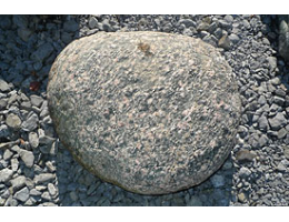 Solitärfindlinge für Gärten,Gestaltungsstein,Solitärfindlinge für Gärten - Findling 855