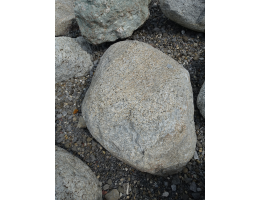 Gestaltungsstein,Solitärfindlinge für Gärten - Findling 1242