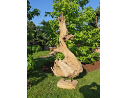 Holzskulpturen,Kunst mit Holz - Findling 1039