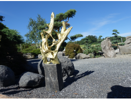 Holzskulpturen,Kunst mit Holz,Schwemmholz - Findling 1229